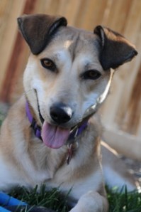 I know you are wondering, how can I get mad at that face